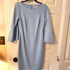 Calvin Klein Dress | NWOT Blue Bell Sleeve, Pearl Detail | size: 6